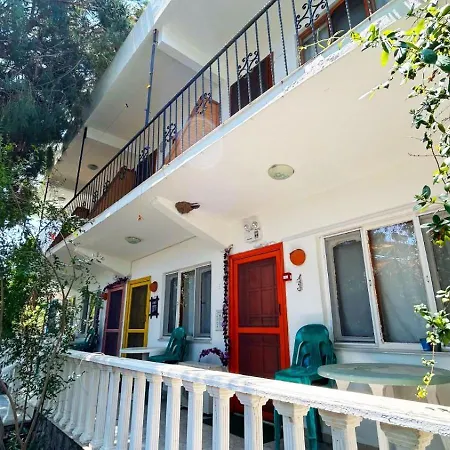 Basarir Ayvacik (Canakkale)