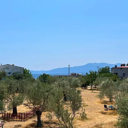 Basarir * Ayvacik (Canakkale)