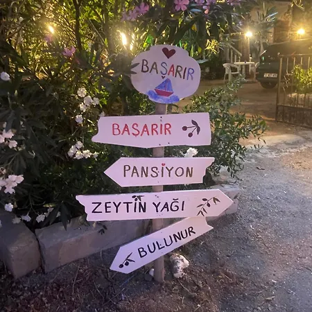Basarir *