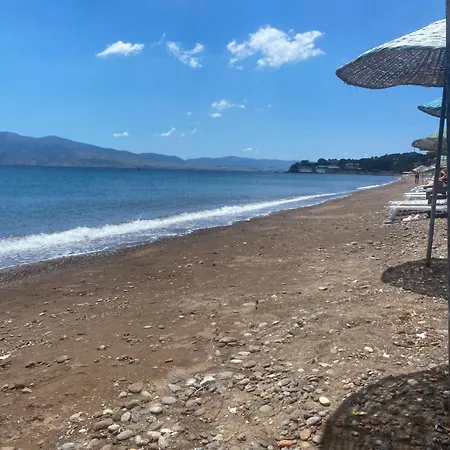 Basarir * Ayvacik (Canakkale)
